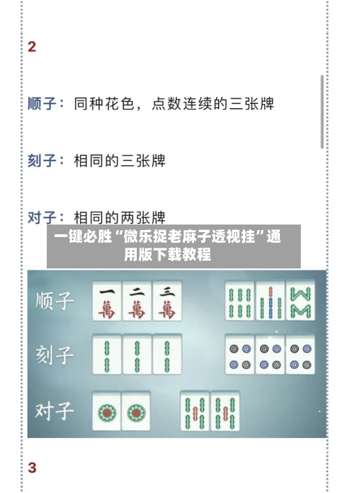 一键必胜“微乐捉老麻子透视挂”通用版下载教程-第3张图片