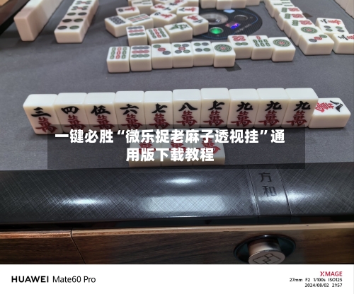 一键必胜“微乐捉老麻子透视挂”通用版下载教程-第2张图片
