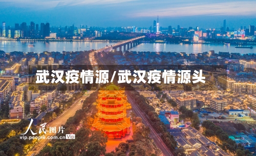 武汉疫情源/武汉疫情源头-第1张图片