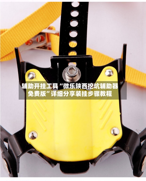 辅助开挂工具“微乐陕西挖坑辅助器免费版”详细分享装挂步骤教程-第1张图片