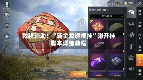 教程辅助！“新金龙透视挂”附开挂脚本详细教程-第3张图片