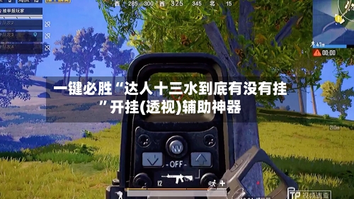 一键必胜“达人十三水到底有没有挂	”开挂(透视)辅助神器-第1张图片