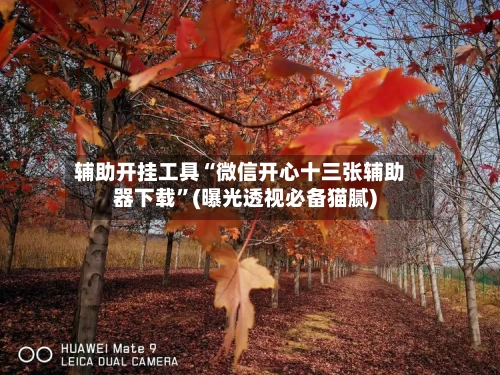 辅助开挂工具“微信开心十三张辅助器下载”(曝光透视必备猫腻)-第1张图片