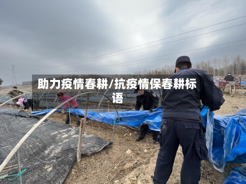 助力疫情春耕/抗疫情保春耕标语-第1张图片