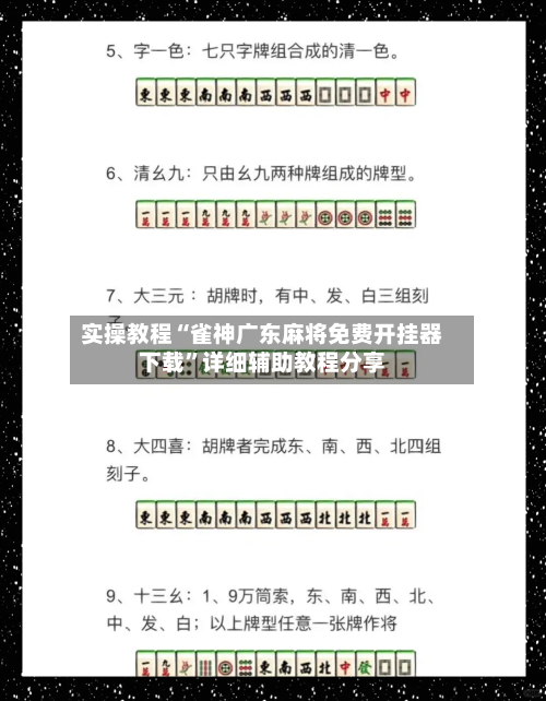 实操教程“雀神广东麻将免费开挂器下载”详细辅助教程分享-第3张图片
