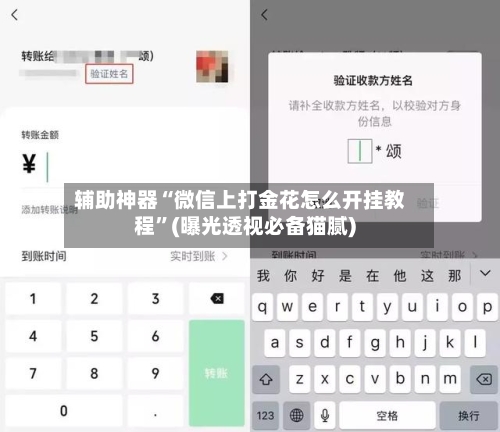 辅助神器“微信上打金花怎么开挂教程	”(曝光透视必备猫腻)-第2张图片