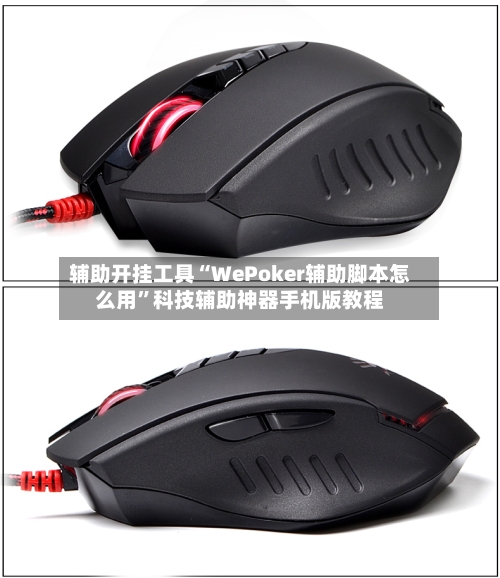 辅助开挂工具“WePoker辅助脚本怎么用	”科技辅助神器手机版教程-第2张图片