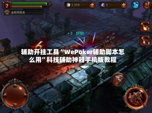 辅助开挂工具“WePoker辅助脚本怎么用”科技辅助神器手机版教程-第3张图片
