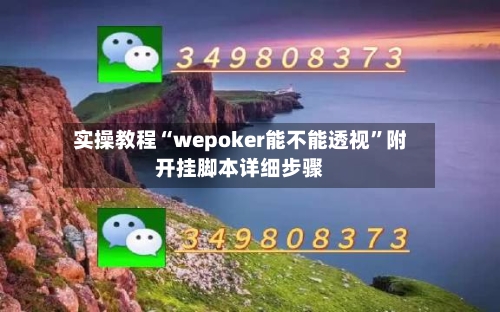 实操教程“wepoker能不能透视	”附开挂脚本详细步骤-第1张图片