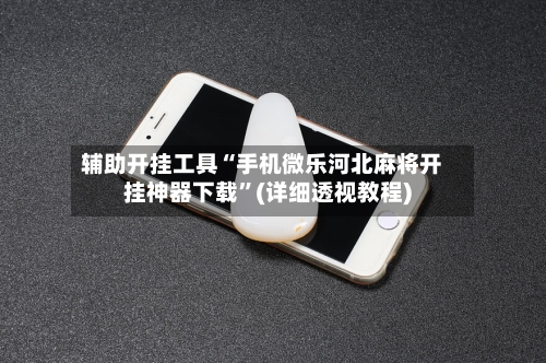 辅助开挂工具“手机微乐河北麻将开挂神器下载	”(详细透视教程)-第1张图片