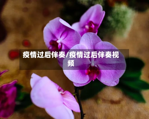 疫情过后伴奏/疫情过后伴奏视频-第1张图片