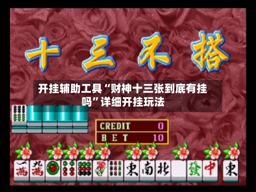 开挂辅助工具“财神十三张到底有挂吗	”详细开挂玩法-第2张图片
