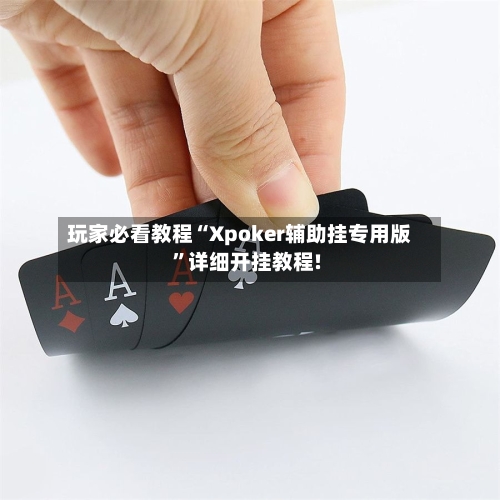 玩家必看教程“Xpoker辅助挂专用版”详细开挂教程!-第3张图片