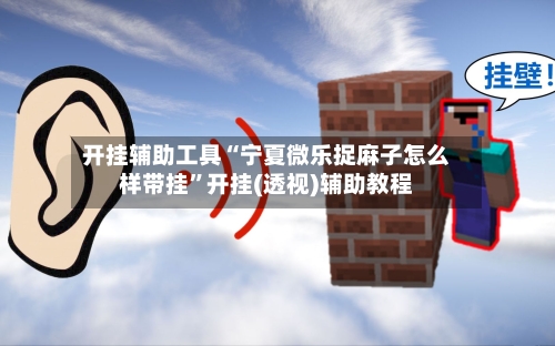 开挂辅助工具“宁夏微乐捉麻子怎么样带挂	”开挂(透视)辅助教程-第2张图片