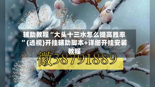 辅助教程“大头十三水怎么提高胜率”(透视)开挂辅助脚本+详细开挂安装教程-第3张图片