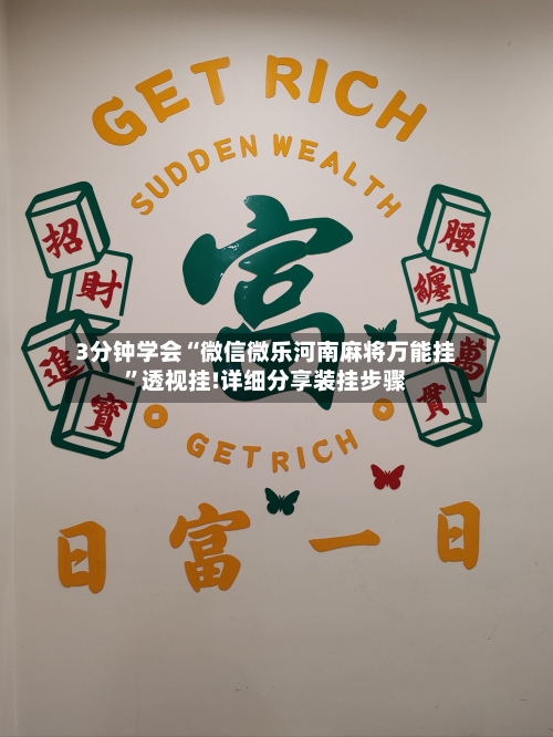 3分钟学会“微信微乐河南麻将万能挂	”透视挂!详细分享装挂步骤-第2张图片