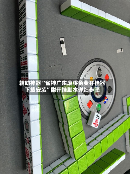 辅助神器“雀神广东麻将免费开挂器下载安装	”附开挂脚本详细步骤-第2张图片