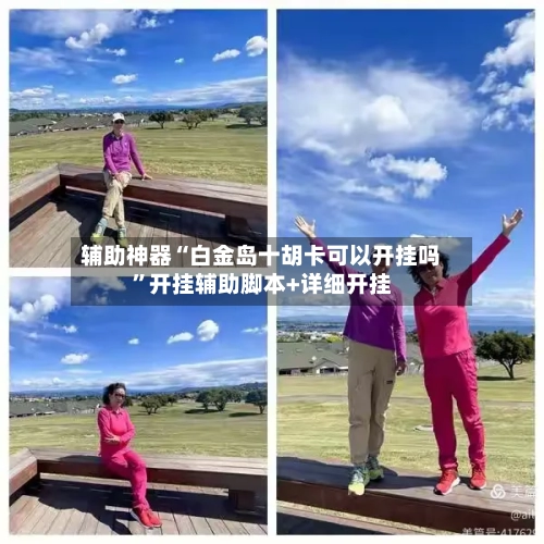 辅助神器“白金岛十胡卡可以开挂吗”开挂辅助脚本+详细开挂-第3张图片