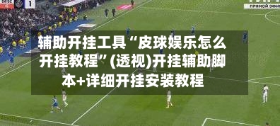 辅助开挂工具“皮球娱乐怎么开挂教程”(透视)开挂辅助脚本+详细开挂安装教程-第1张图片