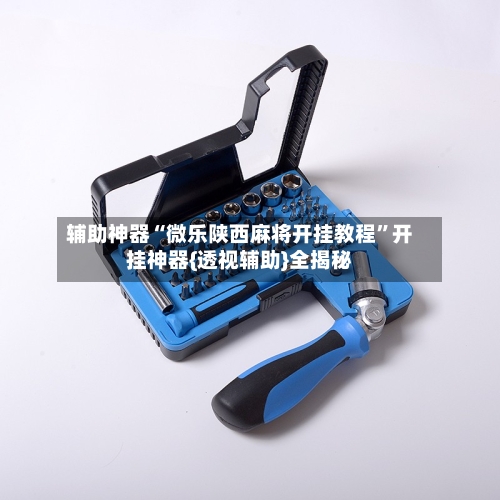 辅助神器“微乐陕西麻将开挂教程”开挂神器{透视辅助}全揭秘-第1张图片