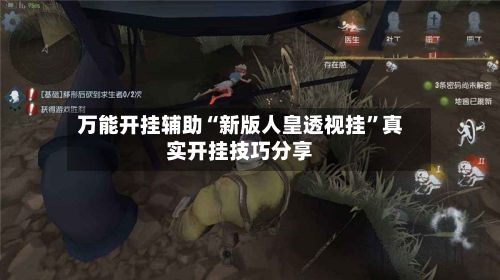 万能开挂辅助“新版人皇透视挂”真实开挂技巧分享-第3张图片