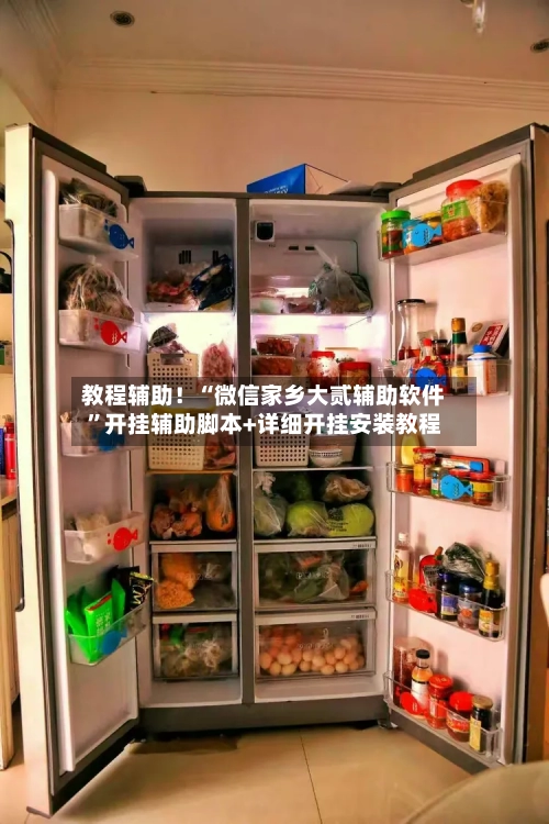 教程辅助！“微信家乡大贰辅助软件”开挂辅助脚本+详细开挂安装教程-第2张图片