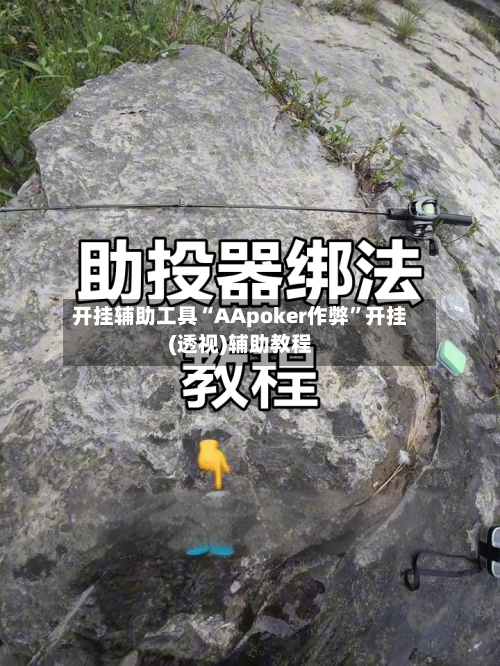 开挂辅助工具“AApoker作弊”开挂(透视)辅助教程-第1张图片