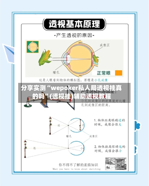 分享实测“wepoker私人局透视挂真的吗	”(透视挂)辅助透视教程-第1张图片