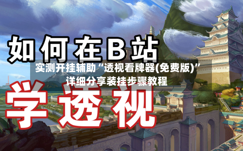 实测开挂辅助“透视看牌器(免费版)”详细分享装挂步骤教程-第3张图片