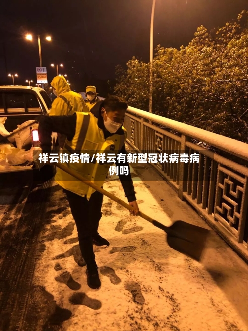 祥云镇疫情/祥云有新型冠状病毒病例吗-第3张图片