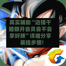 真实辅助“边锋干瞪眼开会员会不会拿好牌	”详细分享装挂步骤!-第2张图片
