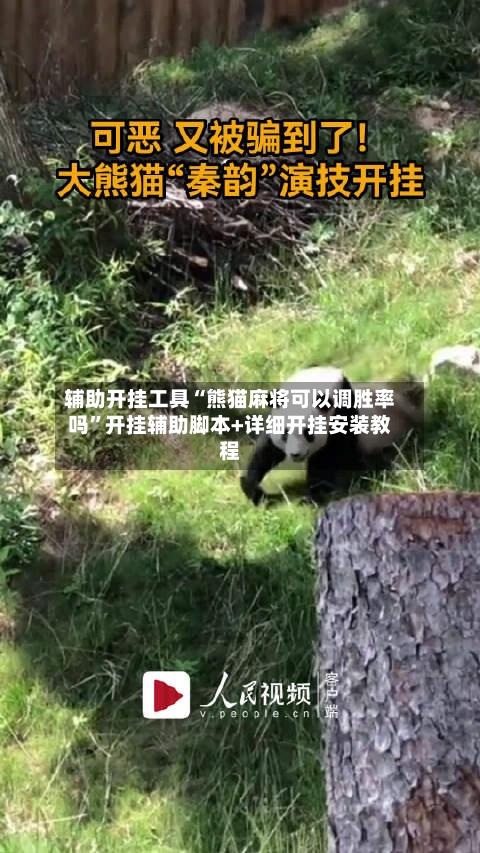 辅助开挂工具“熊猫麻将可以调胜率吗”开挂辅助脚本+详细开挂安装教程-第3张图片