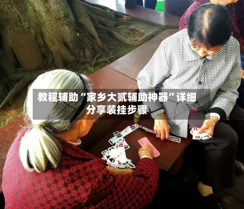 教程辅助“家乡大贰辅助神器”详细分享装挂步骤-第2张图片