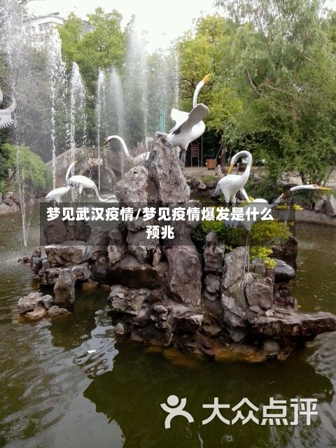 梦见武汉疫情/梦见疫情爆发是什么预兆-第2张图片