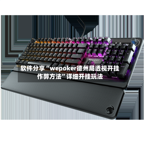 软件分享“wepoker德州局透视开挂作弊方法	”详细开挂玩法-第1张图片