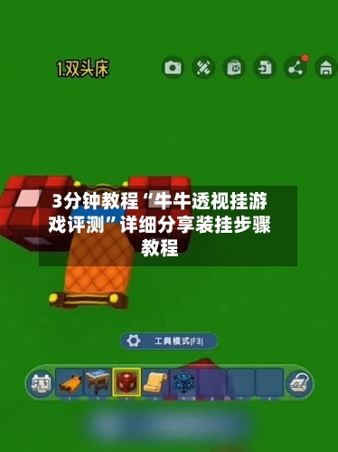 3分钟教程“牛牛透视挂游戏评测”详细分享装挂步骤教程-第2张图片