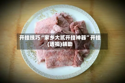 开挂技巧“家乡大贰开挂神器”开挂(透视)辅助-第3张图片