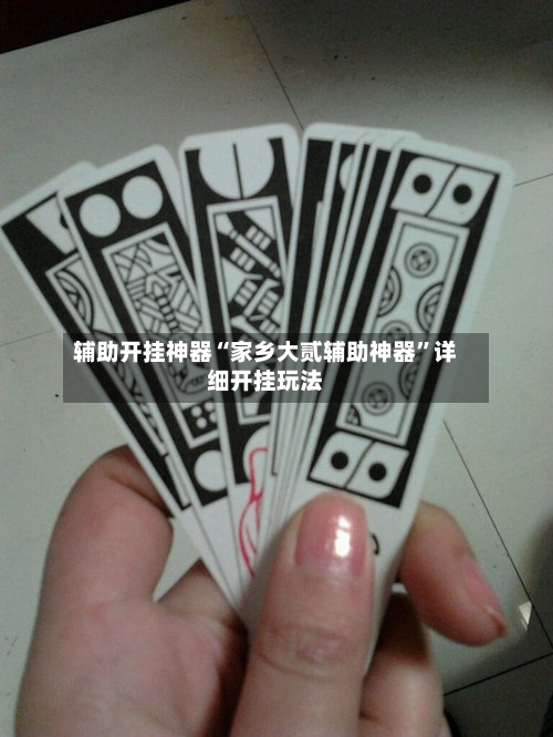 辅助开挂神器“家乡大贰辅助神器”详细开挂玩法-第1张图片