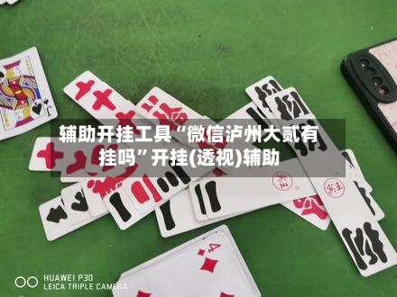 辅助开挂工具“微信泸州大贰有挂吗”开挂(透视)辅助-第2张图片