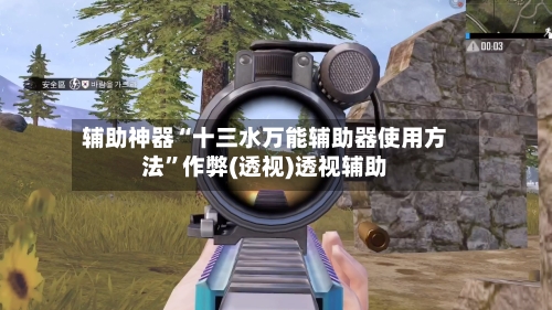 辅助神器“十三水万能辅助器使用方法”作弊(透视)透视辅助-第3张图片