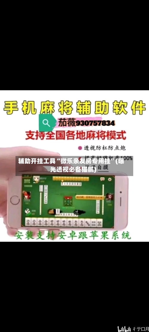 辅助开挂工具“微乐亲友房专用挂	”(曝光透视必备猫腻)-第2张图片