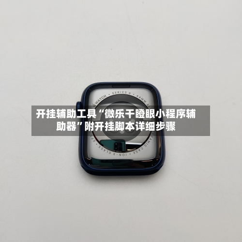 开挂辅助工具“微乐干瞪眼小程序辅助器	”附开挂脚本详细步骤-第2张图片