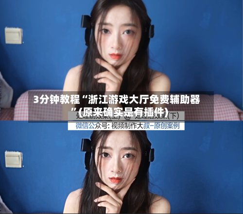 3分钟教程“浙江游戏大厅免费辅助器”(原来确实是有插件)-第2张图片