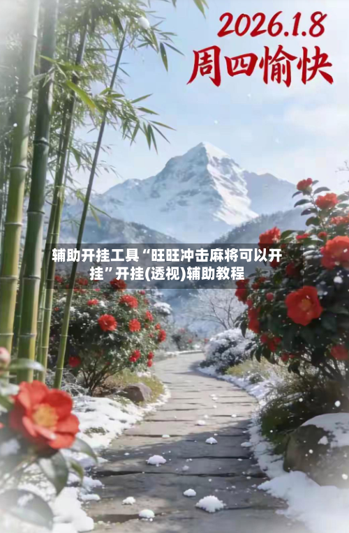 辅助开挂工具“旺旺冲击麻将可以开挂”开挂(透视)辅助教程-第3张图片