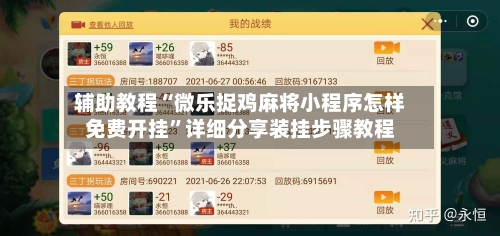 辅助教程“微乐捉鸡麻将小程序怎样免费开挂”详细分享装挂步骤教程-第2张图片