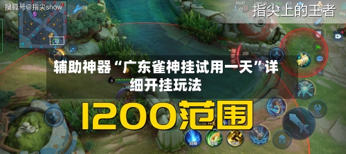 辅助神器“广东雀神挂试用一天	”详细开挂玩法-第1张图片