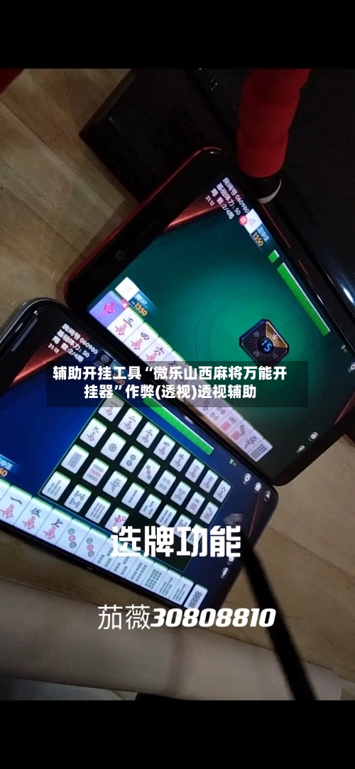 辅助开挂工具“微乐山西麻将万能开挂器”作弊(透视)透视辅助-第1张图片