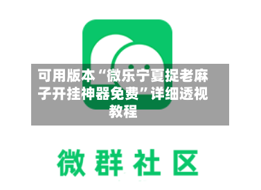 可用版本“微乐宁夏捉老麻子开挂神器免费”详细透视教程-第3张图片