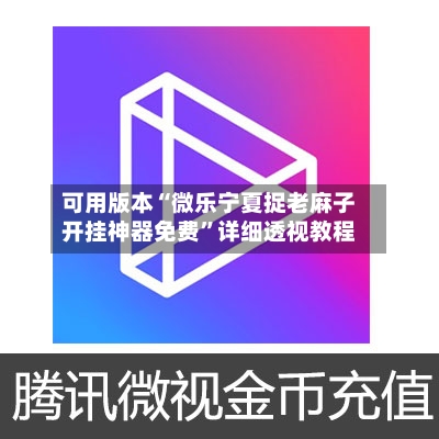 可用版本“微乐宁夏捉老麻子开挂神器免费	”详细透视教程-第2张图片