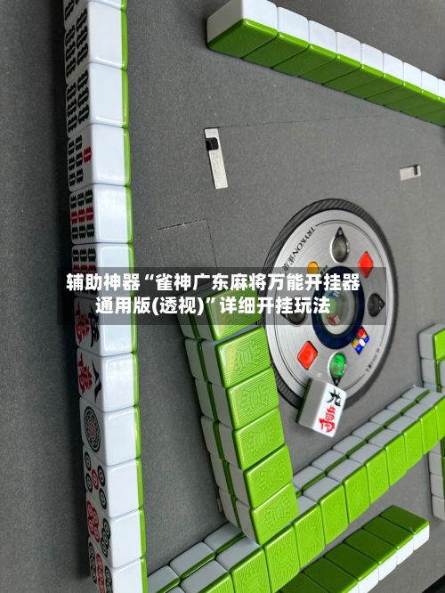 辅助神器“雀神广东麻将万能开挂器通用版(透视)	”详细开挂玩法-第1张图片